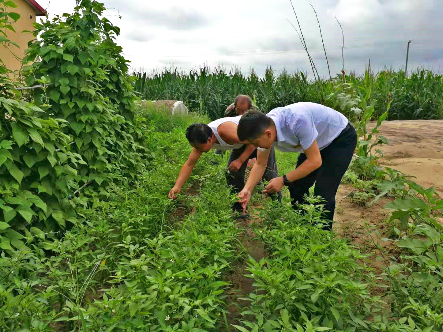 創(chuàng)新組織形式 讓扶貧更有 “溫度”